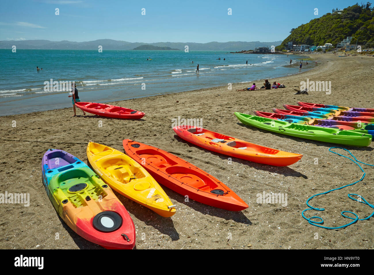 Kajaks am Tage Bucht, Eastbourne, Wellington, Nordinsel, Neuseeland Stockfoto