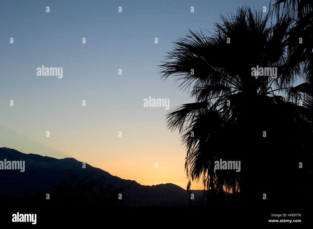 Sonnenaufgang in der Wüste in der Nähe von Palm Springs, Kalifornien Stockfoto