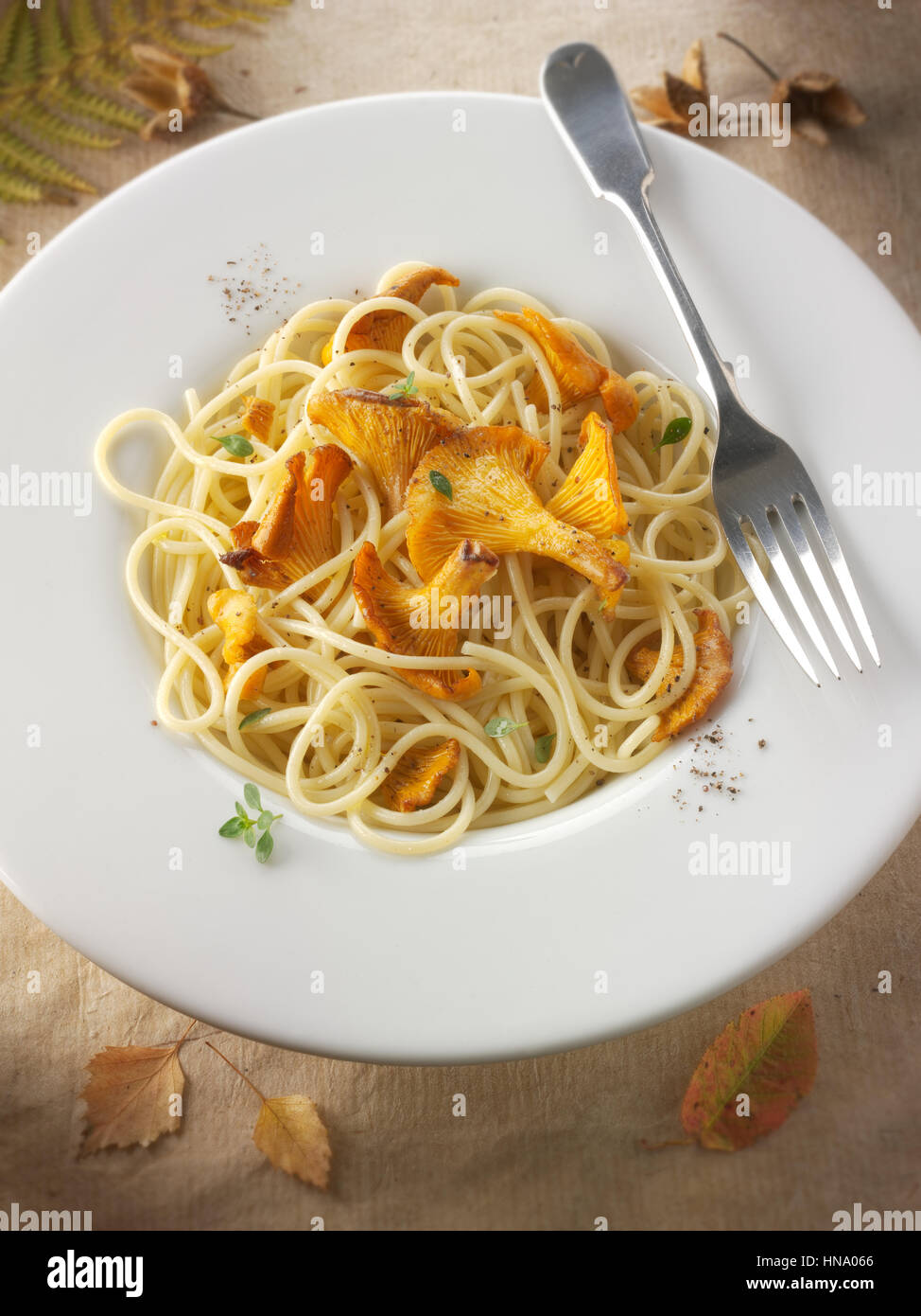 Wilde bio Pfifferlinge oder girolle Pilze (Cantharellus Cibarius), in Butter und Kräuter sauteed mit Spaghetti Stockfoto