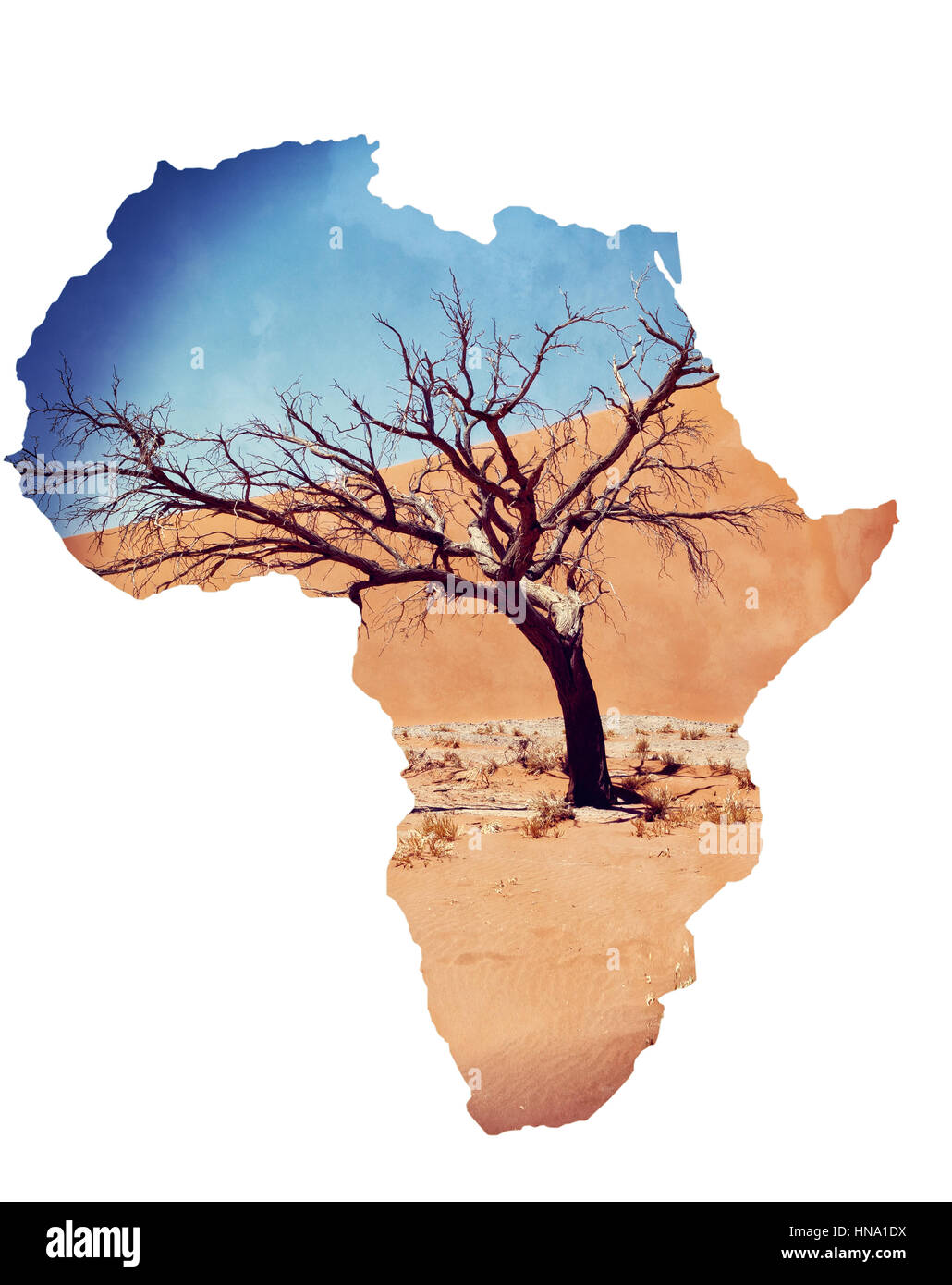 Düne 45 im Sossusvlei Namibia mit toter Baum, best-of Namibia Landschaft, Düne 45 ist die größte Düne der Welt. Karte von Afrika Kontinent Konzept Stockfoto