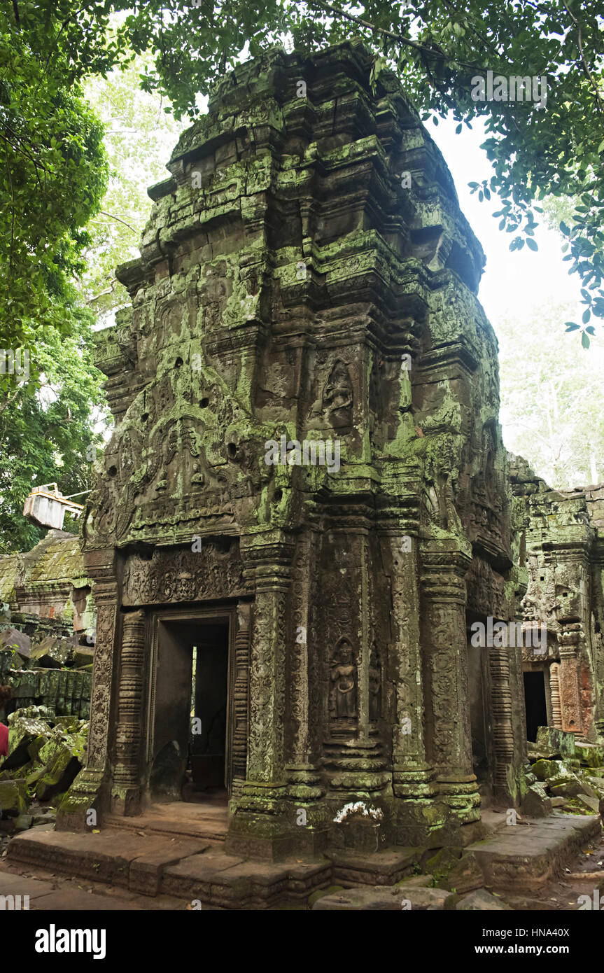 Jungle Temple Fotos Und Bildmaterial In Hoher Auflosung Alamy