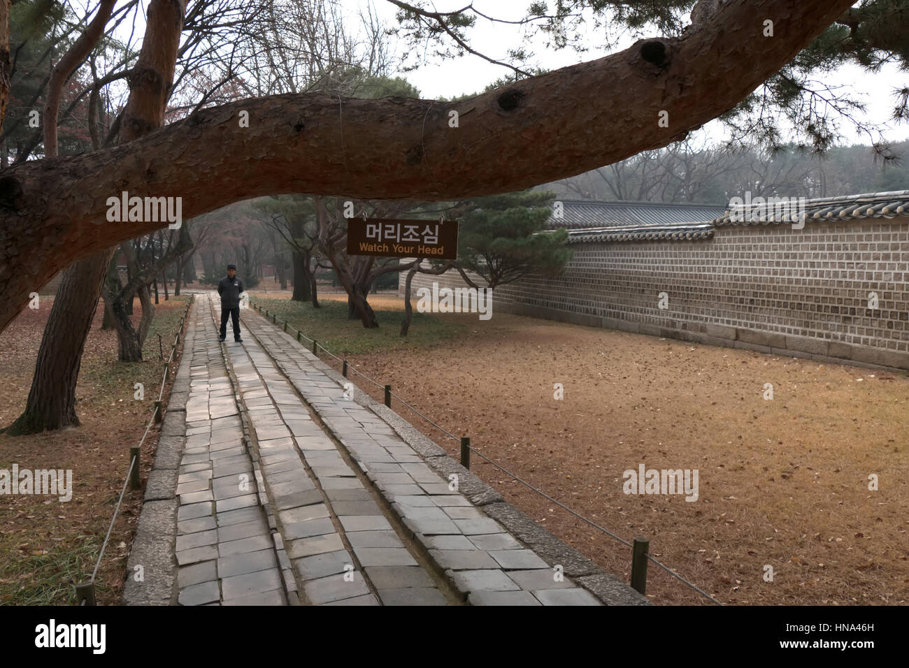 Ansicht der Jongmyo, konfuzianischer Schrein, koreanische Denkmal, Wahrzeichen, Touristenattraktion, UNESCO-Weltkulturerbe. Seoul, Südkorea, Asien Stockfoto
