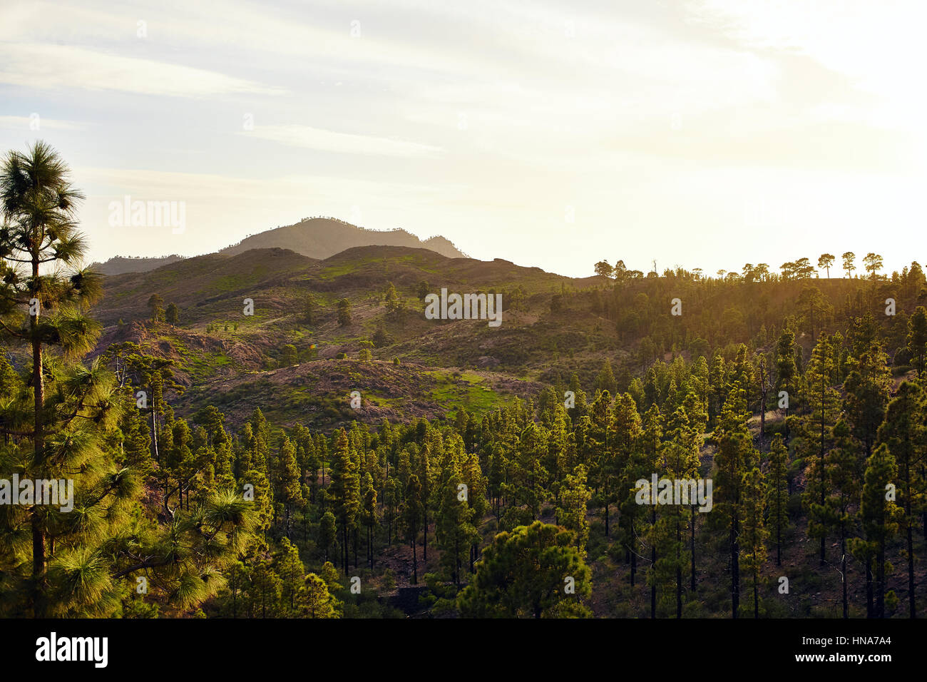 Herrliche Aussicht auf die Berggipfel mit schönen Wolken auf den Sonnenuntergang. Künstlerischen Bild. Beauty-Welt Stockfoto
