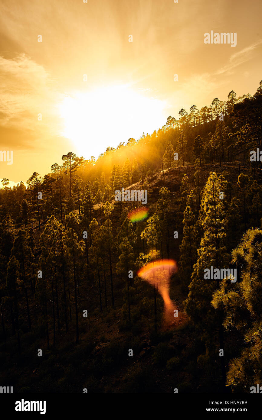Herrliche Aussicht auf die Berggipfel mit schönen Wolken auf den Sonnenuntergang. Künstlerischen Bild. Beauty-Welt Stockfoto