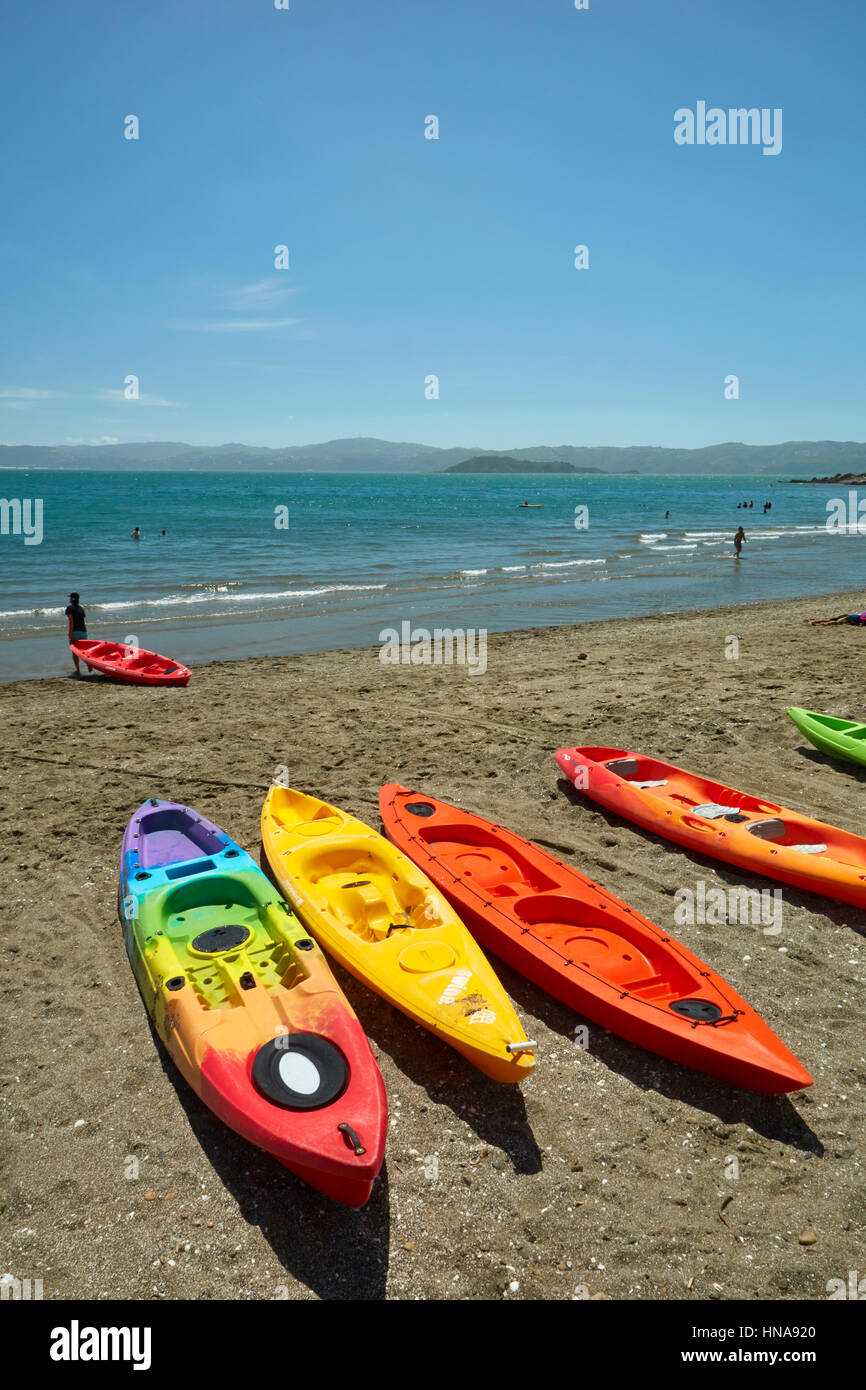 Kajaks am Tage Bucht, Eastbourne, Wellington, Nordinsel, Neuseeland Stockfoto