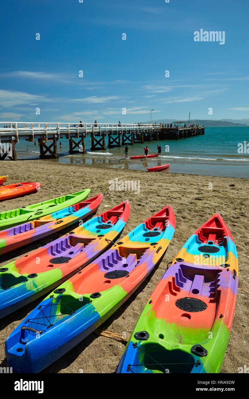 Kajaks am Tage Bucht, Eastbourne, Wellington, Nordinsel, Neuseeland Stockfoto