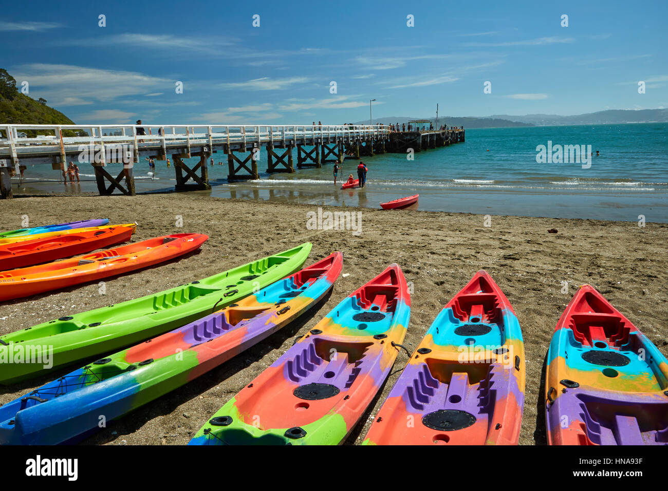 Kajaks am Tage Bucht, Eastbourne, Wellington, Nordinsel, Neuseeland Stockfoto