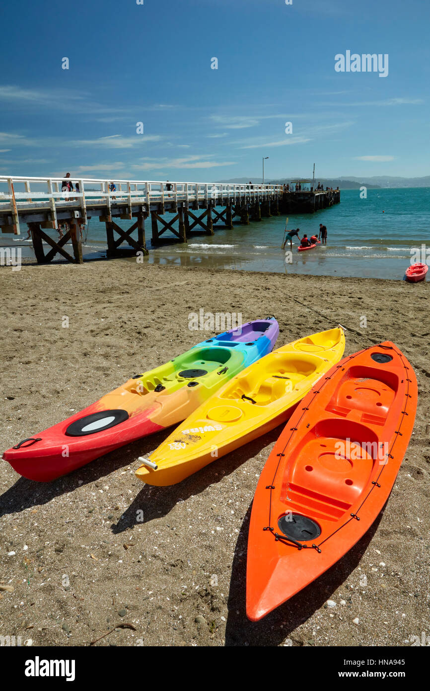 Kajaks am Tage Bucht, Eastbourne, Wellington, Nordinsel, Neuseeland Stockfoto