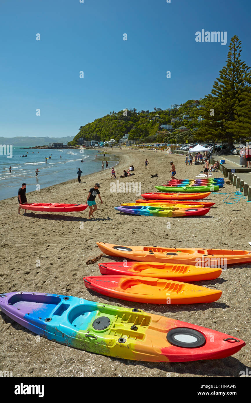 Kajaks am Tage Bucht, Eastbourne, Wellington, Nordinsel, Neuseeland Stockfoto