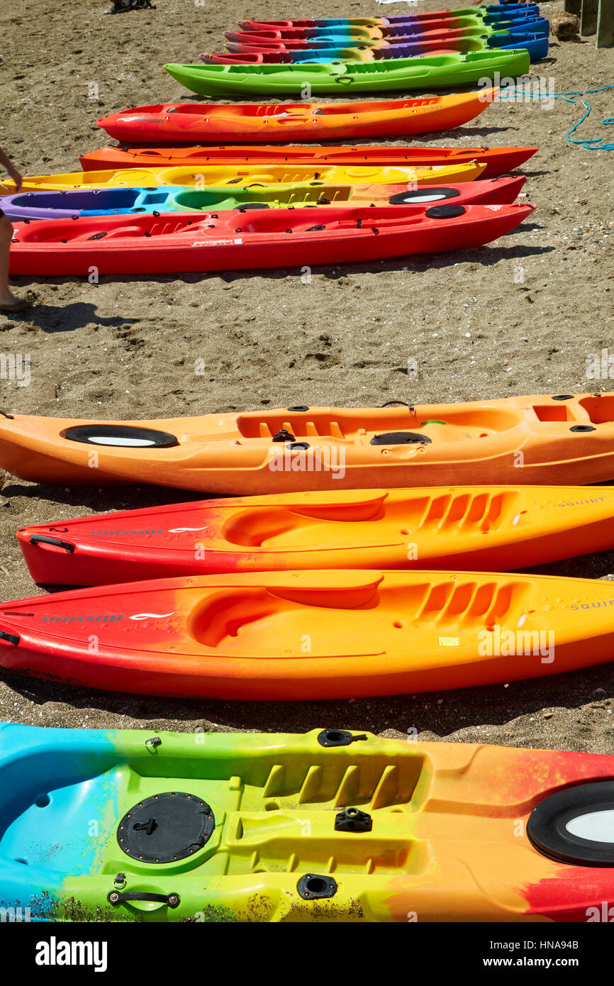 Kajaks am Tage Bucht, Eastbourne, Wellington, Nordinsel, Neuseeland Stockfoto