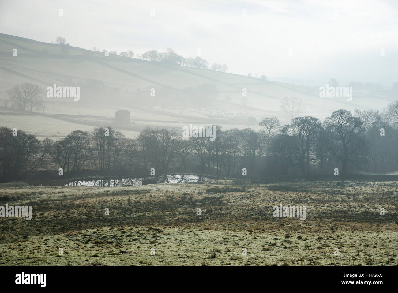 Einem nebligen Wintermorgen in der englischen Landschaft Stockfoto