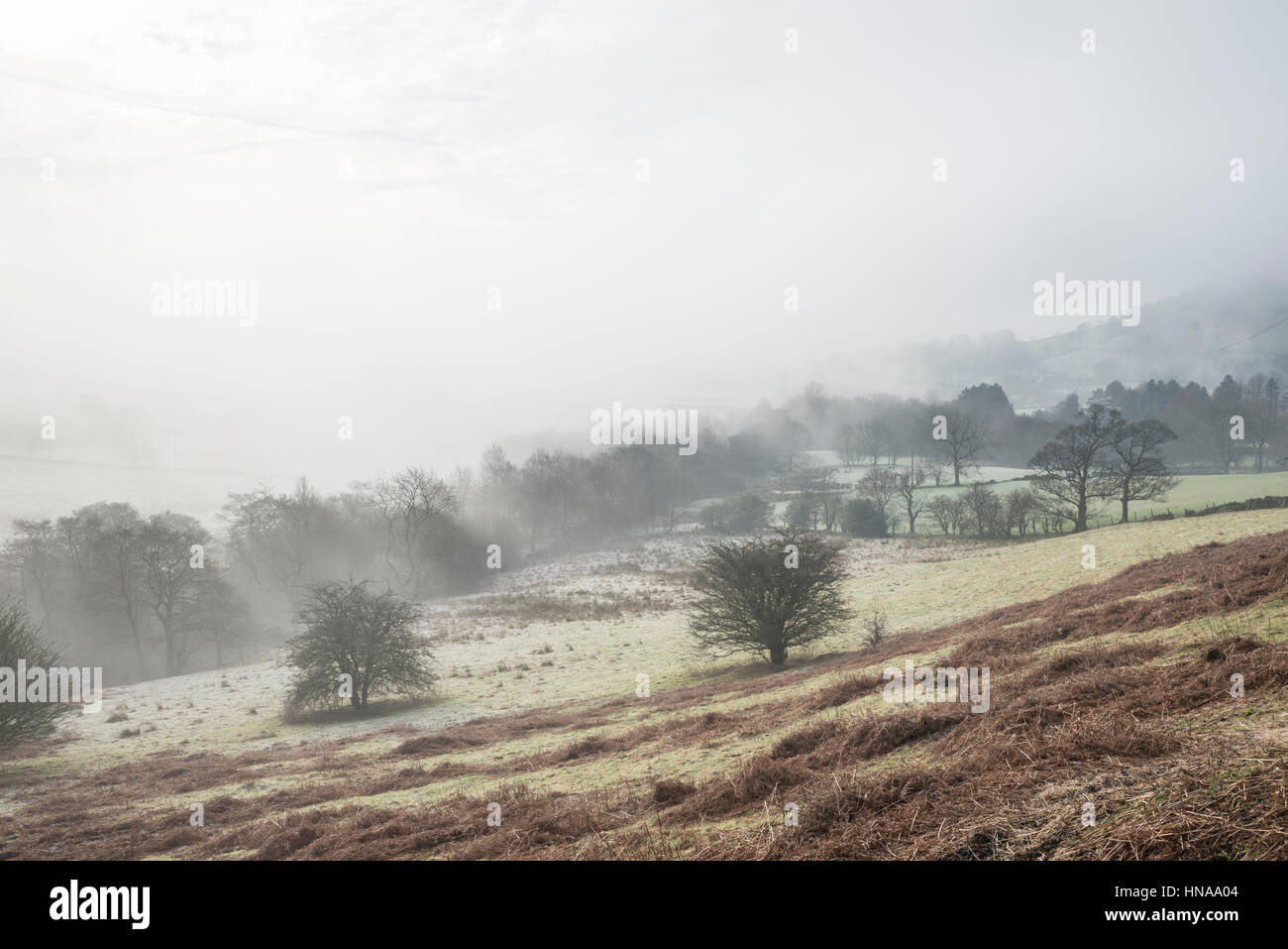 Einem nebligen Wintermorgen in der englischen Landschaft, Chinley, Derbyshire Stockfoto