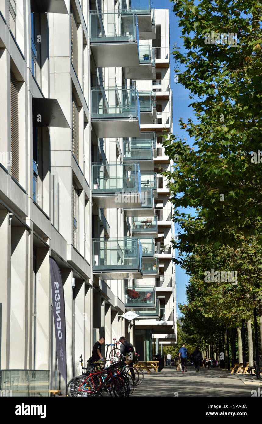 East Village E20 Wohnungen, Stratford, London, UK. Stockfoto