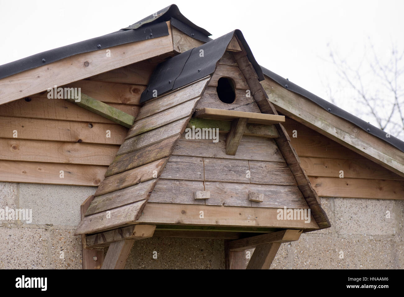 Hausgemachte Eule Nistkasten für Schleiereulen bestimmt. Tyto Alba, hergestellt aus recyceltem Holz Stockfoto