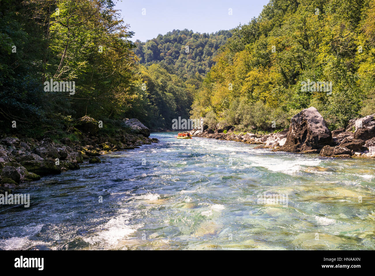 Rafting-Boot auf dem schnellen Bergfluss Tara in Montenegro Stockfoto