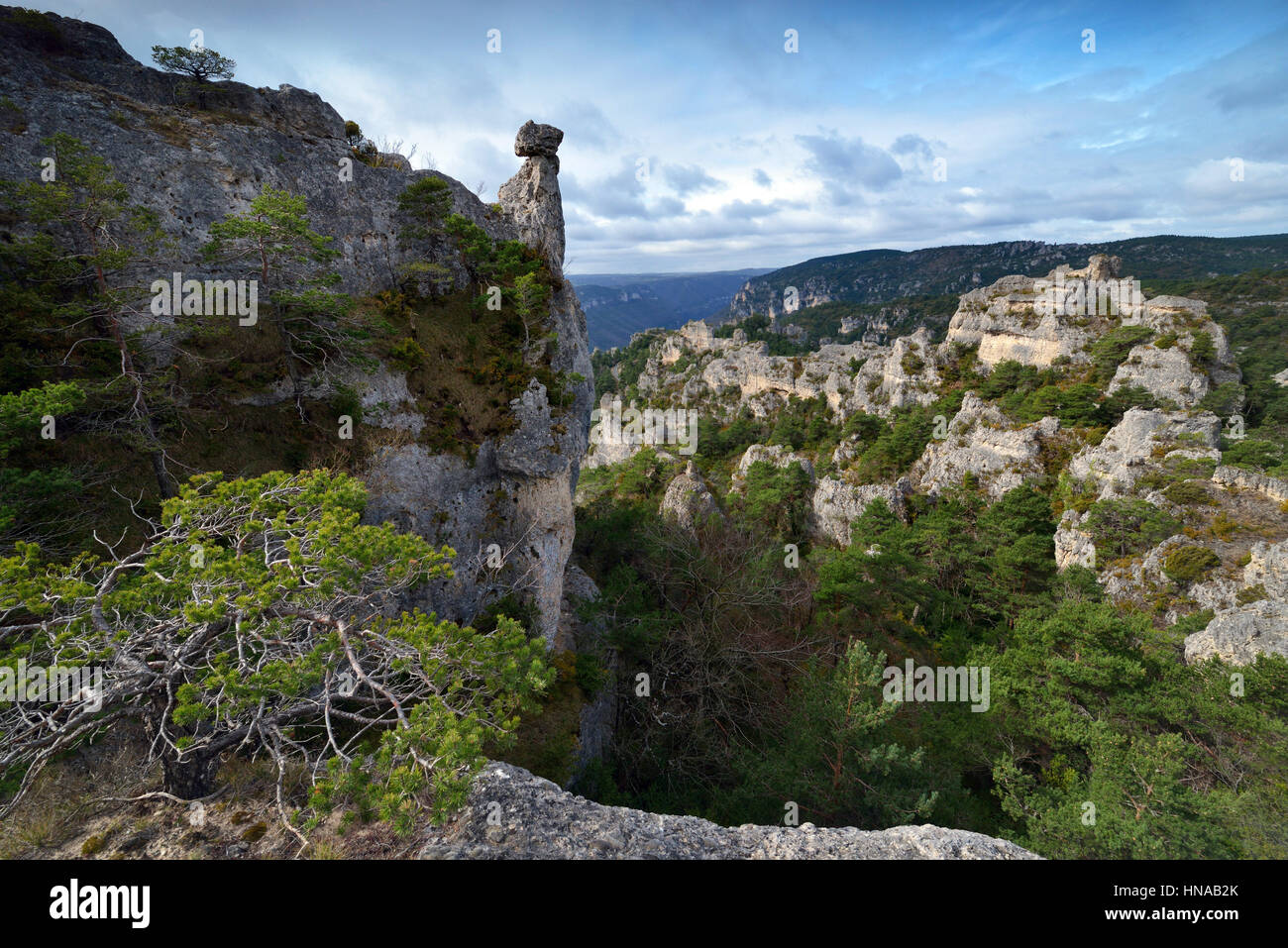 La Roque-Sainte-Marguerite (Südfrankreich): Blockfield "Chaos de Montpellier-le-Vieux" Stockfoto