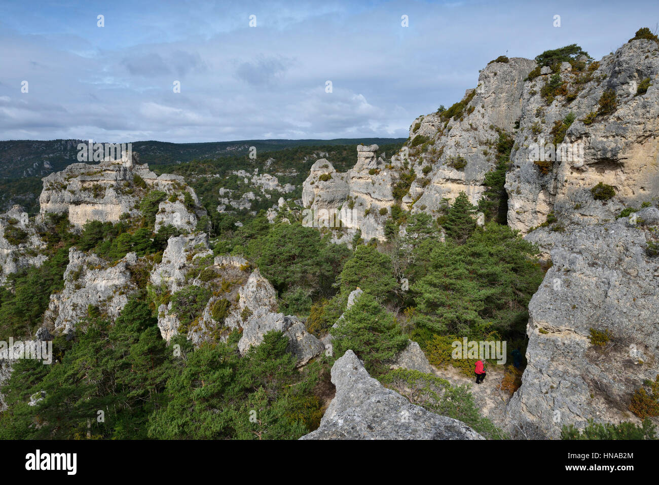 La Roque-Sainte-Marguerite (Südfrankreich): Blockfield "Chaos de Montpellier-le-Vieux" Stockfoto