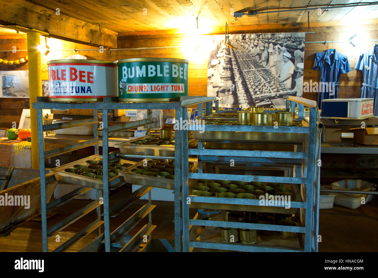 Museum Sammlung, Hanthorn Cannery Museum, Astoria, Oregon Stockfoto