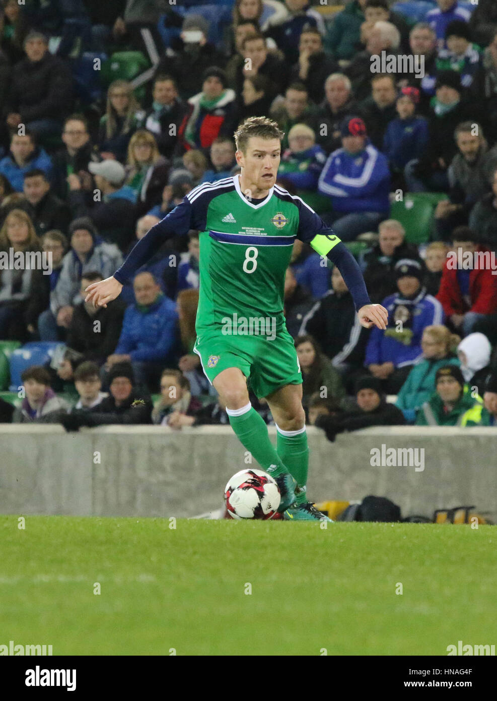 Belfast, Nordirland. 15. November 2016. Internationaler Fußball Freundschaftsspiel - Nordirland 0 Kroatien 3. Northern Ireland Steven Davis (8). Stockfoto