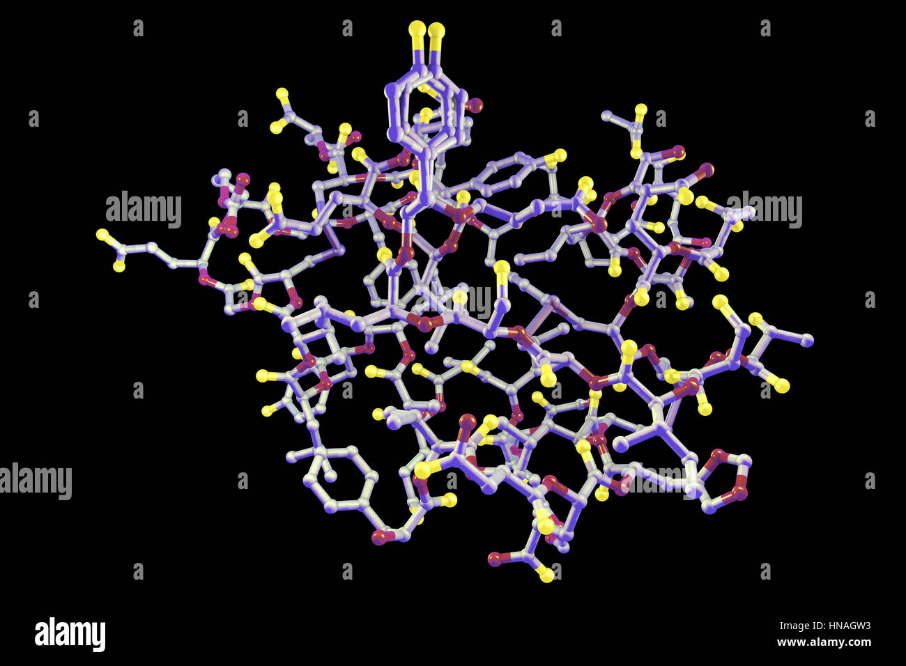 Insulin-Molekül. Computer-Modell zeigt die Struktur eines Moleküls des Hormoninsulin. Insulin spielt eine wichtige Rolle bei der Blutzuckerregulation. Es wird aus der Bauchspeicheldrüse bei den Blutzuckerspiegel hoch, z. B. nach einer Mahlzeit sind, woraufhin Zellen in der Leber, Muskeln und Fettgewebe der Glukose aus dem Blut aufnehmen und speichern Sie es als Glykogen freigesetzt. Unzureichende Produktion von Insulin führt zu einer Anhäufung von Glukose im Blut verursacht Diabetes. Stockfoto