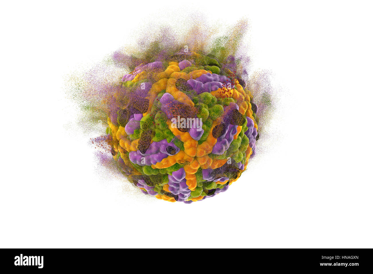 Zerstörung der Zika-Virus, Abbildung. Konzeptbild für Zika Fieber Behandlung und Prävention. Stockfoto