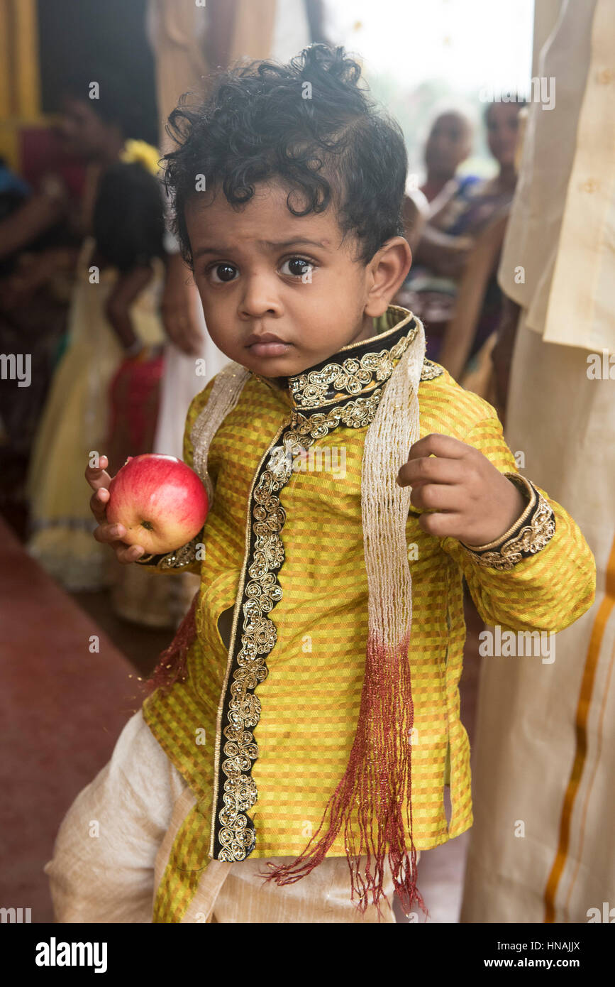 Junge auf einer Hindu-Hochzeit, Deniyaya, Sri Lanka Stockfoto