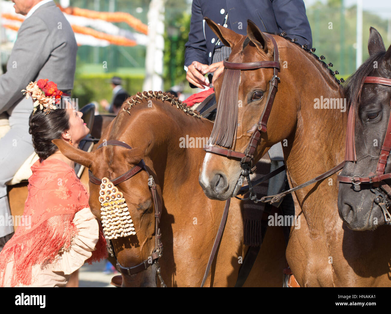Sevilla, Spanien - 25 APR: Frau in Tracht mit Pferden auf der Sevillas April Fair am 25. April 2014 in Sevilla, Spanien Stockfoto