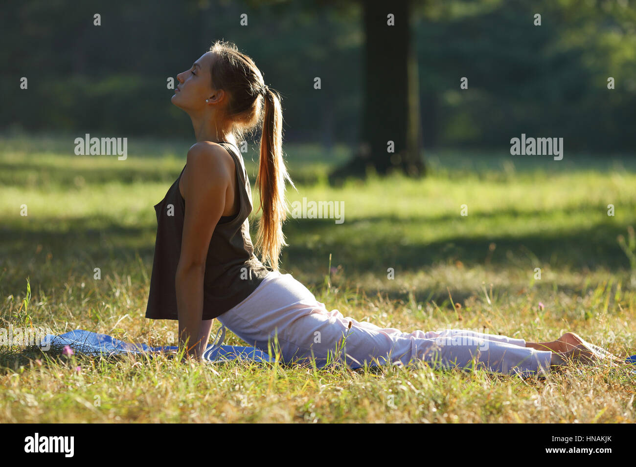 Junge schöne Frau in Cobra position Stockfoto