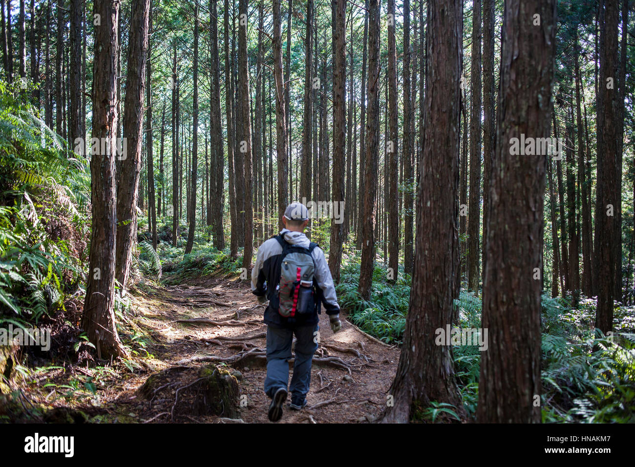 Pilger in Kumano Kodo in der Nähe von grand Kumano Hongu Taisha Shrine, Nakahechi Route, Wakayama, Kinki, Japan Stockfoto