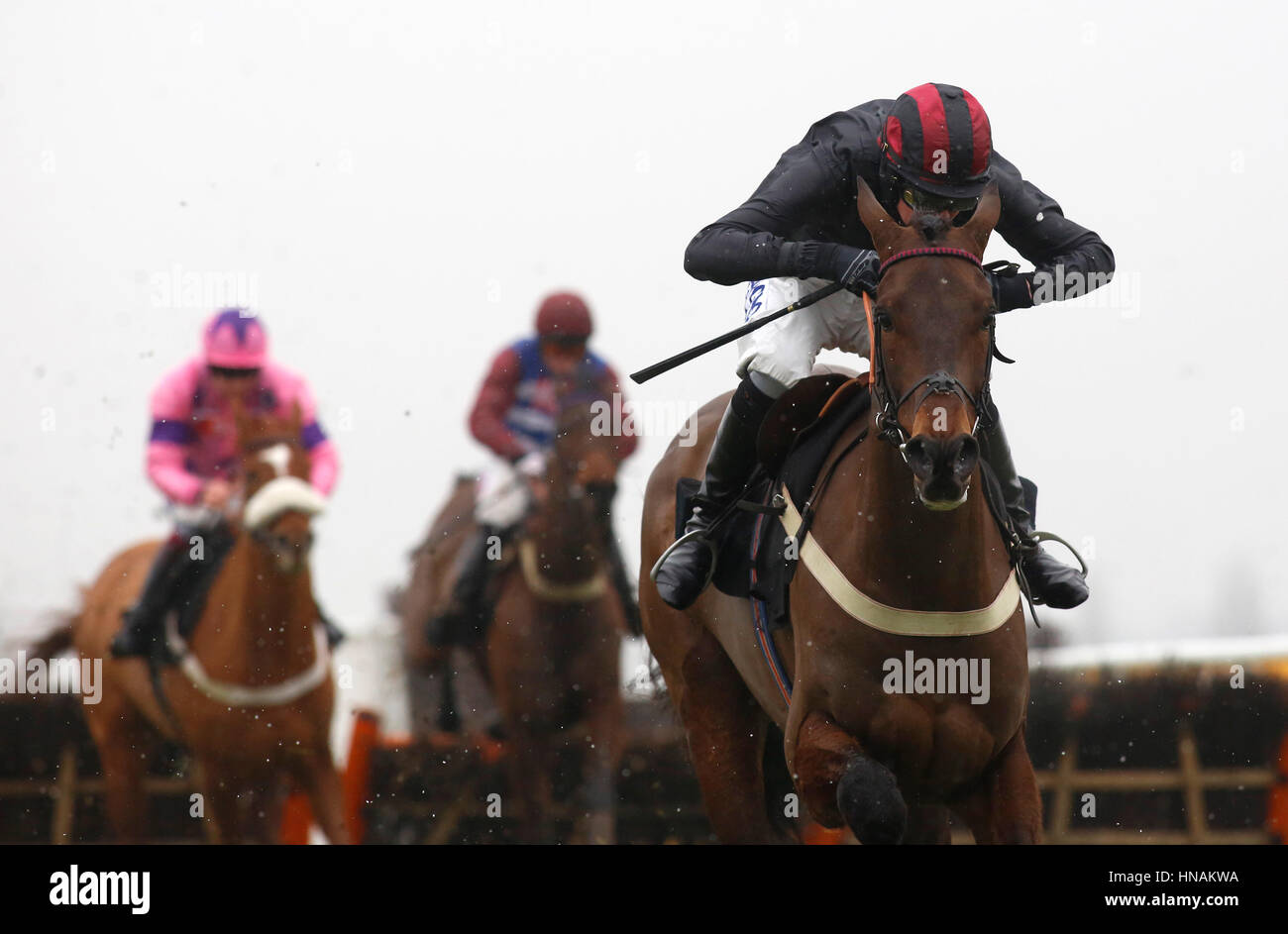 High Bridge geritten von Herrn Alex Ferguson führt das Feld von dem letzten Flug vor dem Schlafengehen auf die Read Paul Nicholls Exclusivelely bei Betfair Novizinnen Hürdenrennen laufen bei Betfair Super Samstag um Newbury Racecourse gewinnen. Stockfoto