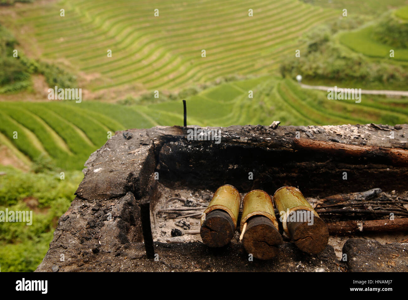 Essen wird auf traditionelle Weise über dem Feuer in ausgehöhlten Bambusrohr Tian Tou Village in den Longji Rice-Terrassen in der Nähe von Guilin, Guangxi Provi gekocht Stockfoto