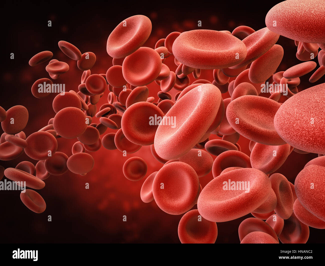 3D Rendering roten Blutkörperchen in Vene Stockfoto