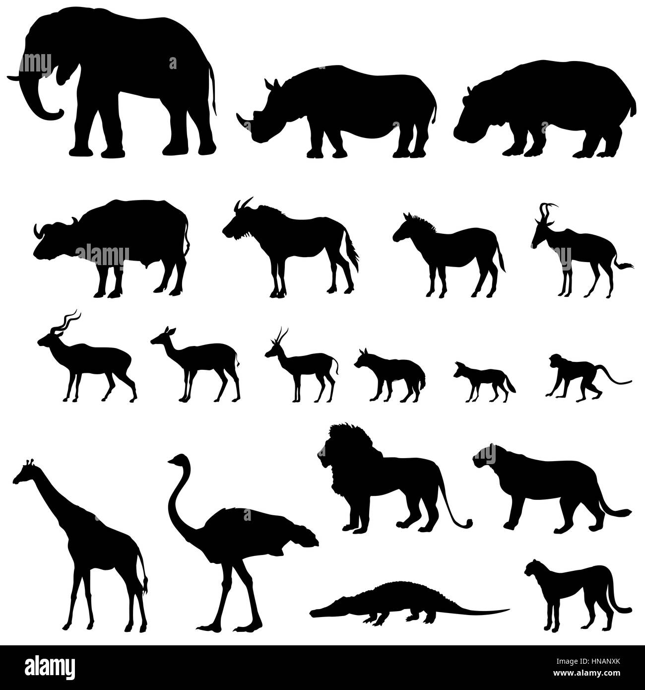 Afrikanische Tiere Silhouetten. Vektor Tiere der tropischen Zone icons Collection. Stock Vektor