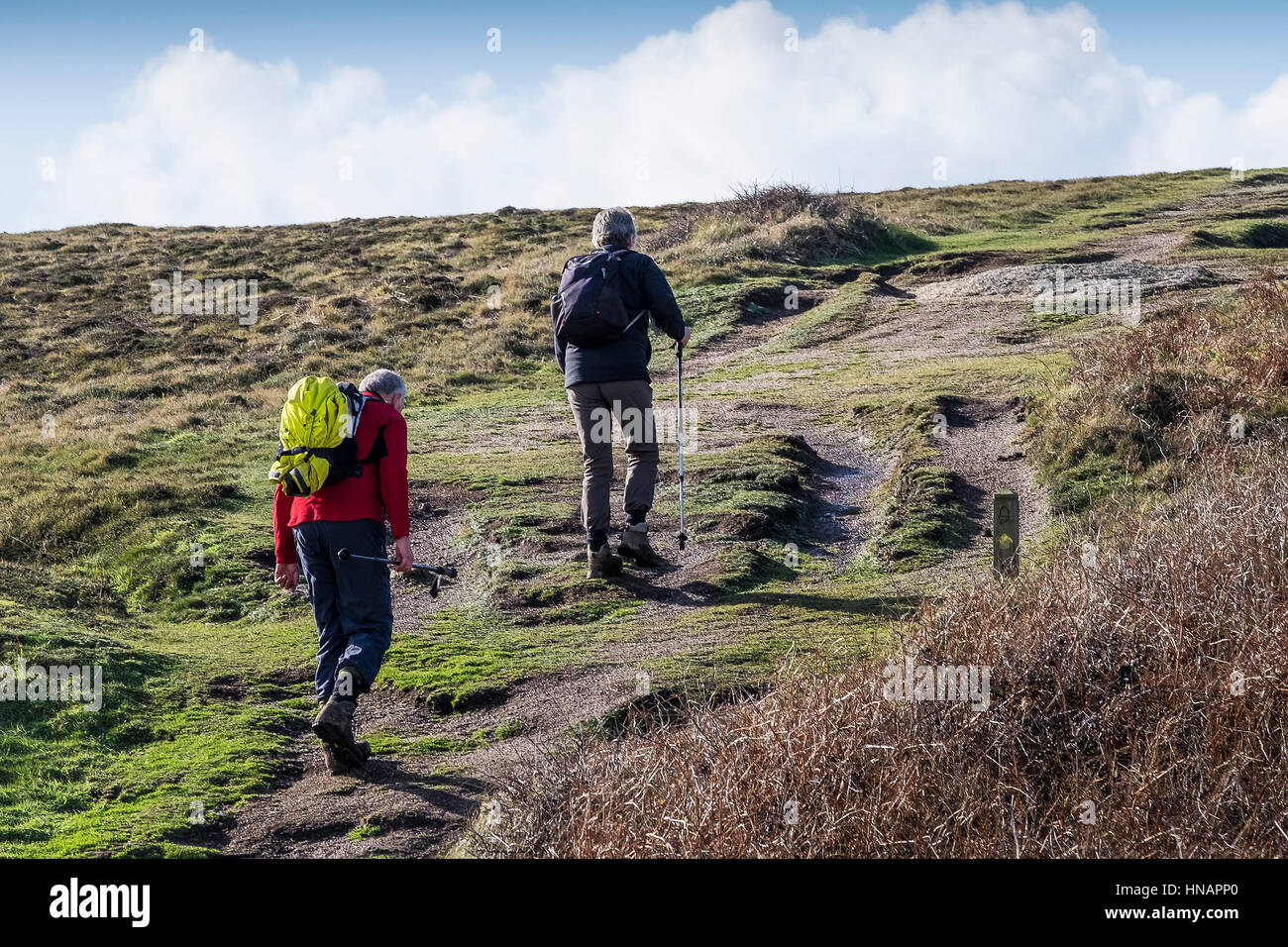 Zwei Wanderer auf dem South West Coastal Path auf Gwennap Head in Cornwall, England. Stockfoto
