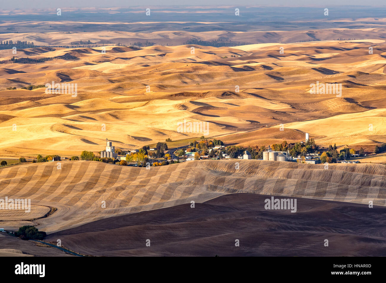 Landwirtschaft in Washington State Stockfoto