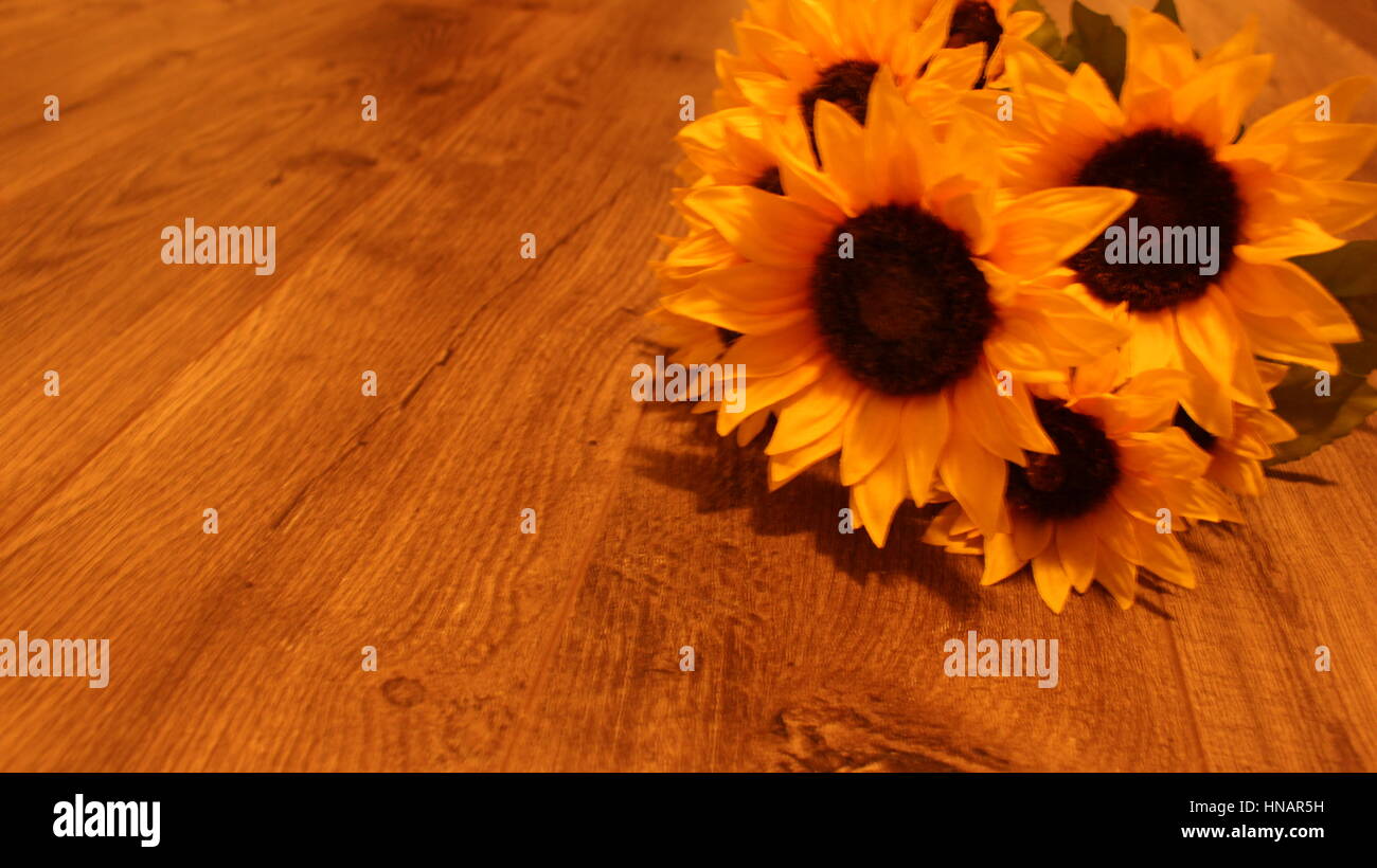 Ein warmes Bild von Sonnenblumen auf einem Parkettboden Stockfoto
