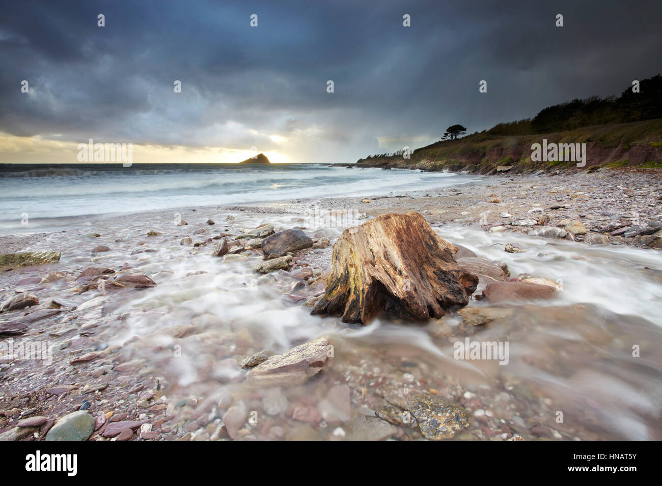 Ein großes Stück Treibholz angespült auf Wembury Bucht, in der Nähe von Plymouth bei einem Wintersturm Stockfoto