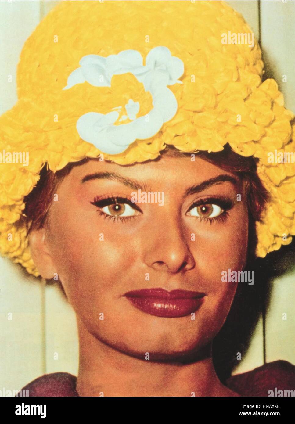 Actress sophia loren -Fotos und -Bildmaterial in hoher Auflösung – Alamy