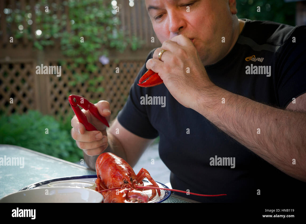 Mann mittleren Alters, einen Hummer essen Stockfoto
