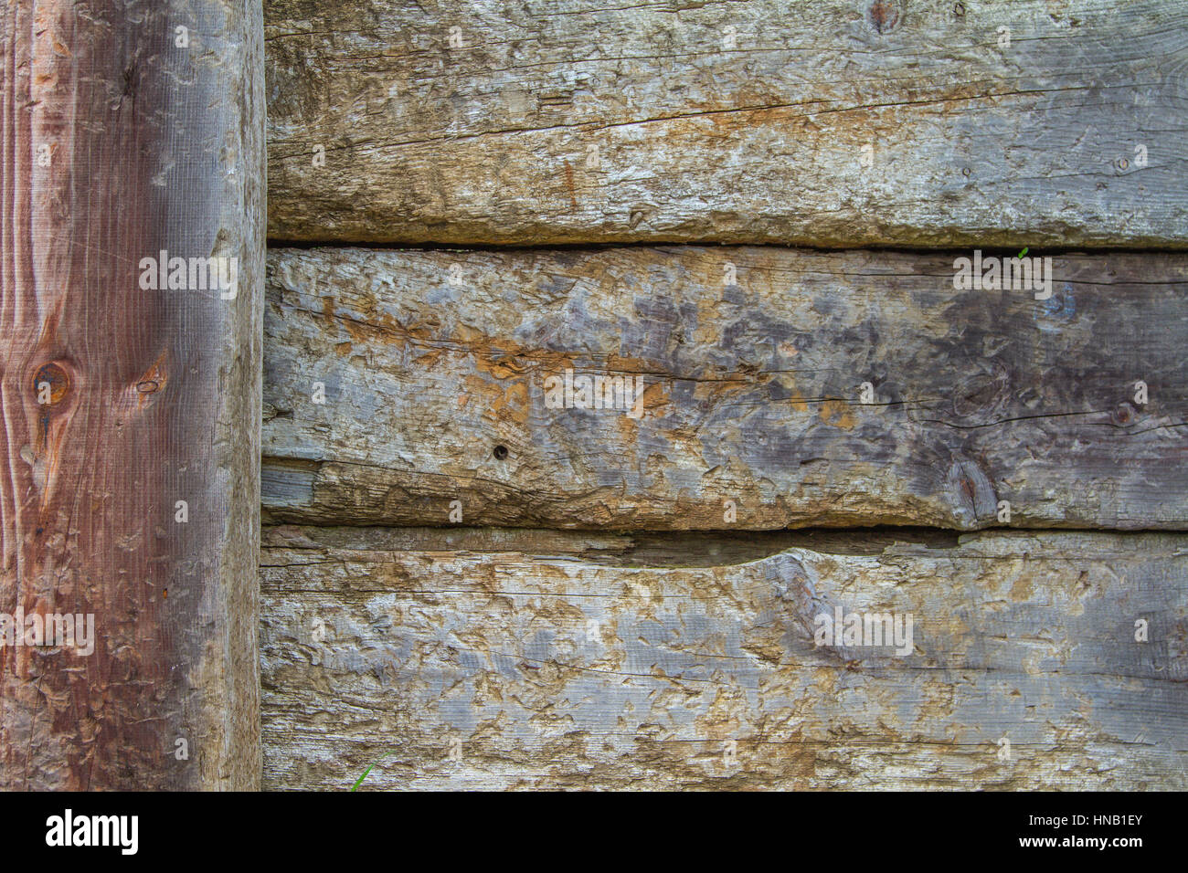 Teil eines Zauns mit senkrechten Brettern auf der linken Seite. Holz Details sind deutlich sichtbar. Schöne Farben degradiert. Stockfoto