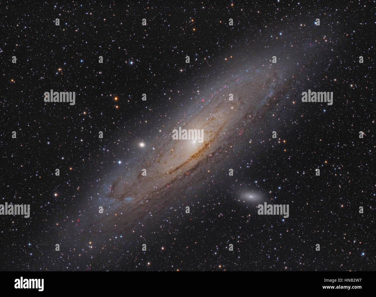 Die Andromeda-Galaxie M31 Stockfoto