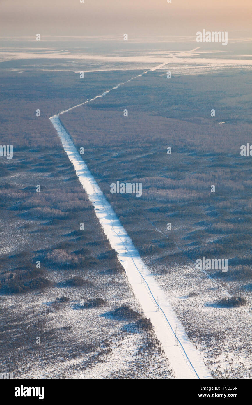 Draufsicht auf die Stromleitung im Winterwald Stockfoto