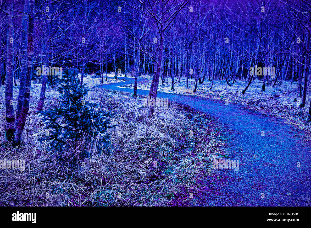 Beaver creek alaska Fotos und Bildmaterial in hoher Auflösung Alamy