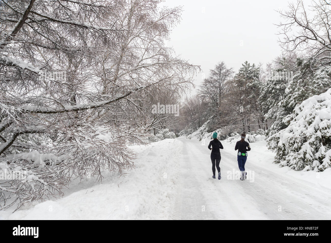 Montreal, CA - 4. Januar 2017: verschneite Winterlandschaft in Montreal, Quebec (Botanischer Garten) Stockfoto