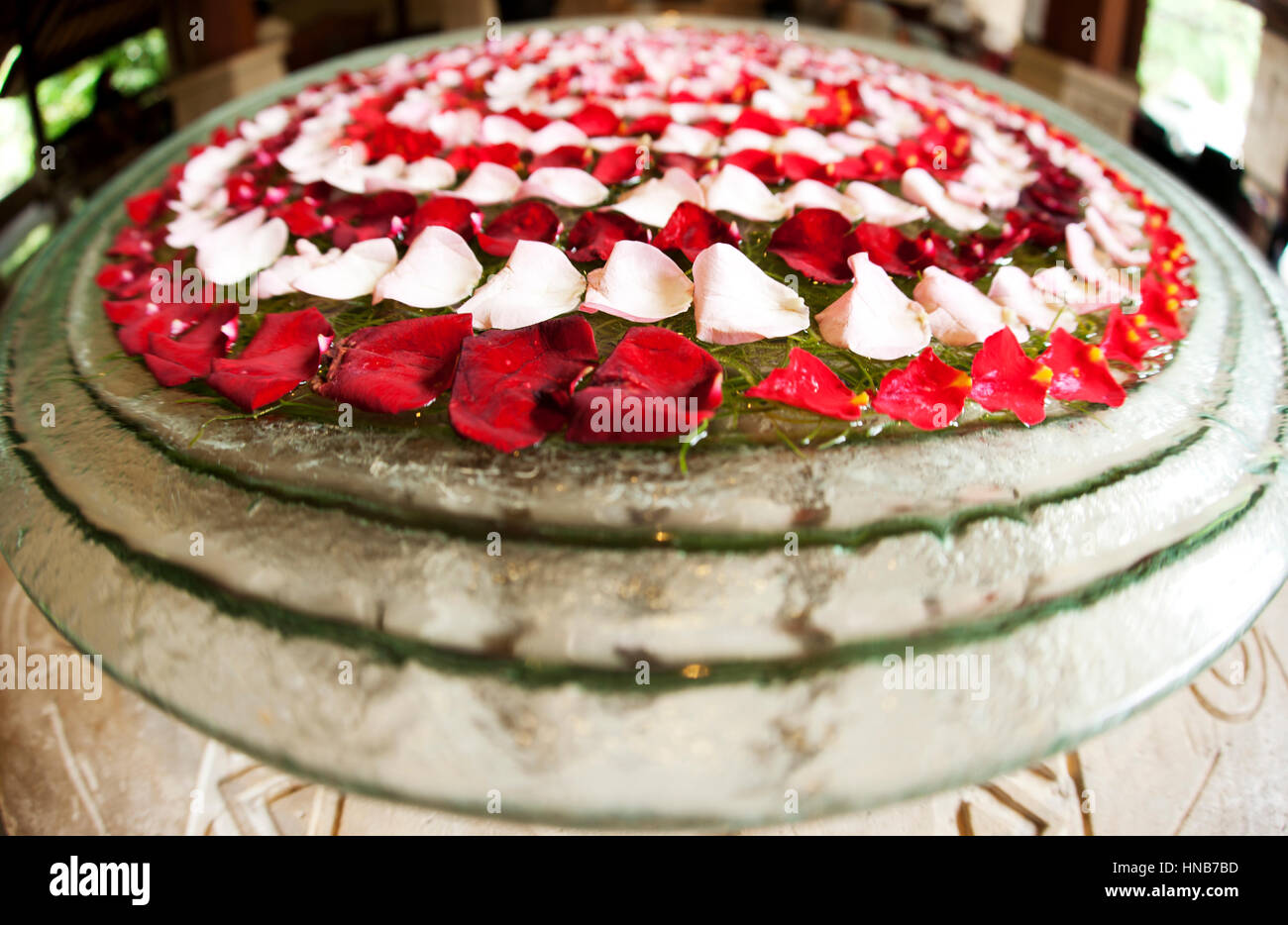 Rote und rosa Blume Blätter platziert in einem Kreismuster. Stockfoto