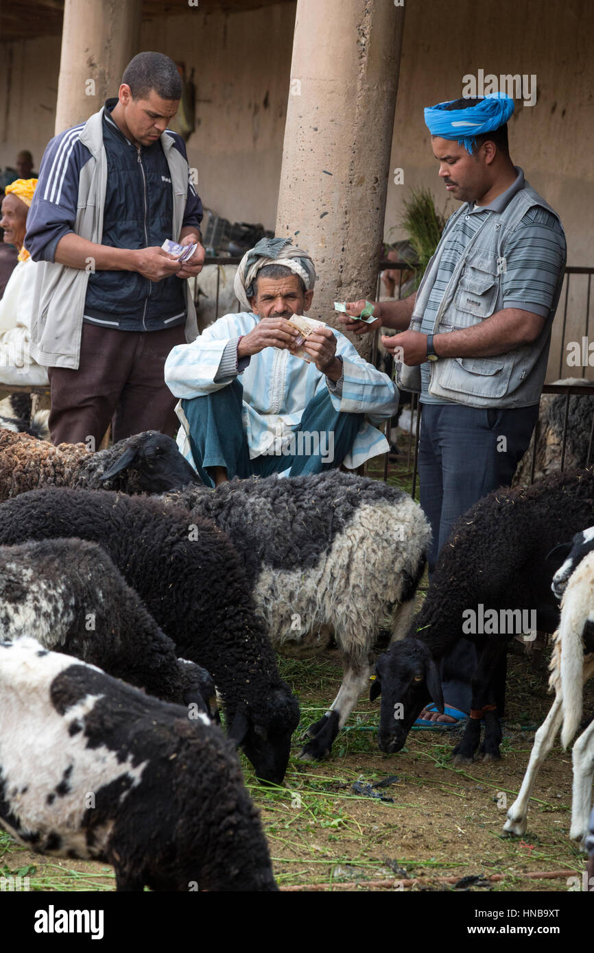 Rissani, Marokko. Männer diskutieren Verkauf von Schafen in der Viehmarkt. Stockfoto