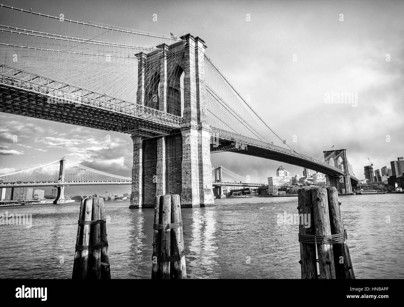 Brooklyn Bridge und Manhattan Bridge hinter über den East River in New York Stockfoto