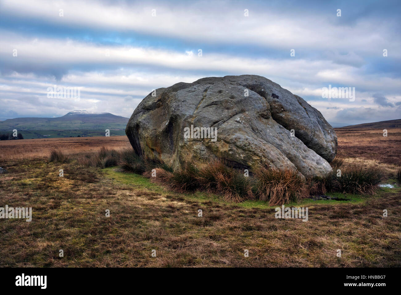 Der große Stein Fourstones, Wald von Bowland, in der Nähe von hohen Bentham, North Yorkshire, UK. Ingleborough kann im Hintergrund gesehen werden. Stockfoto