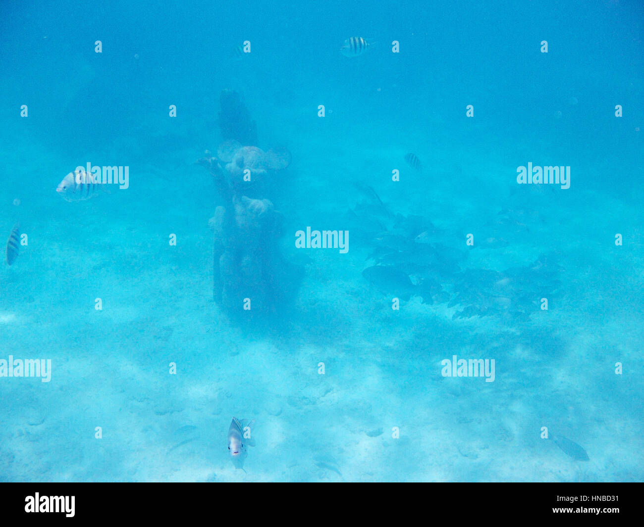 Unterwasser-Statue in Bahamas blaue Meer Schnorcheln Stockfoto