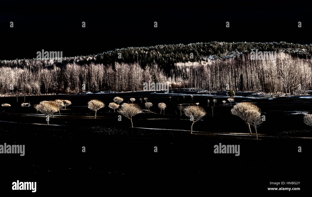 Schwarze Golf Course Stockfoto